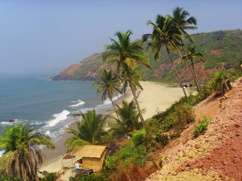 Summer special tours