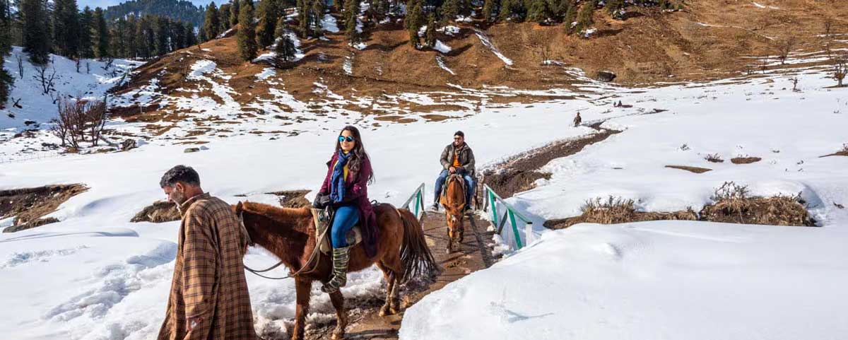 Winter special tours