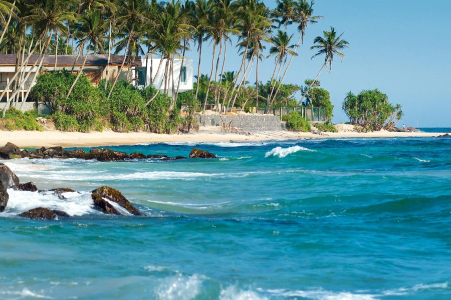Scenic Tour - Srilanka